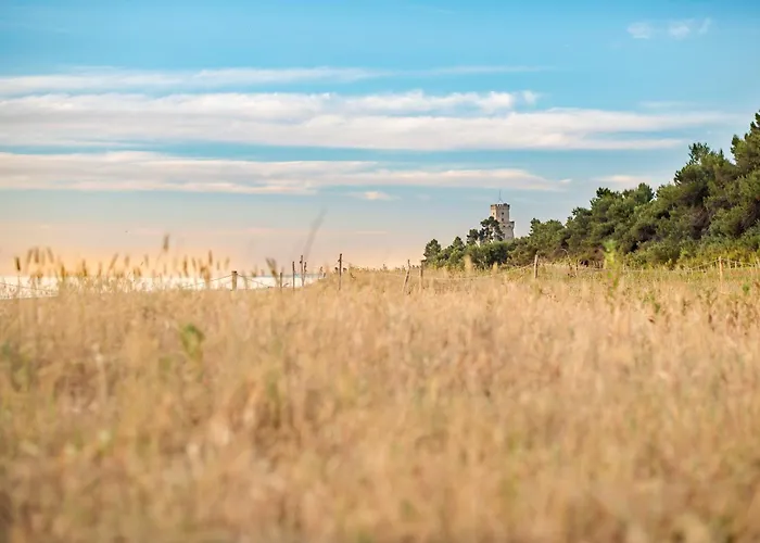Palazzo Del Mare Int1 Silvi *